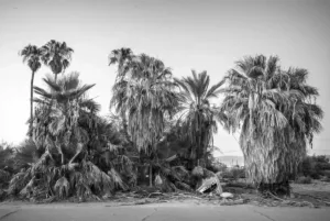 photo art noir et blanc - das Boat - Marc Josse