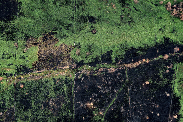 galerie d'art saint Malo